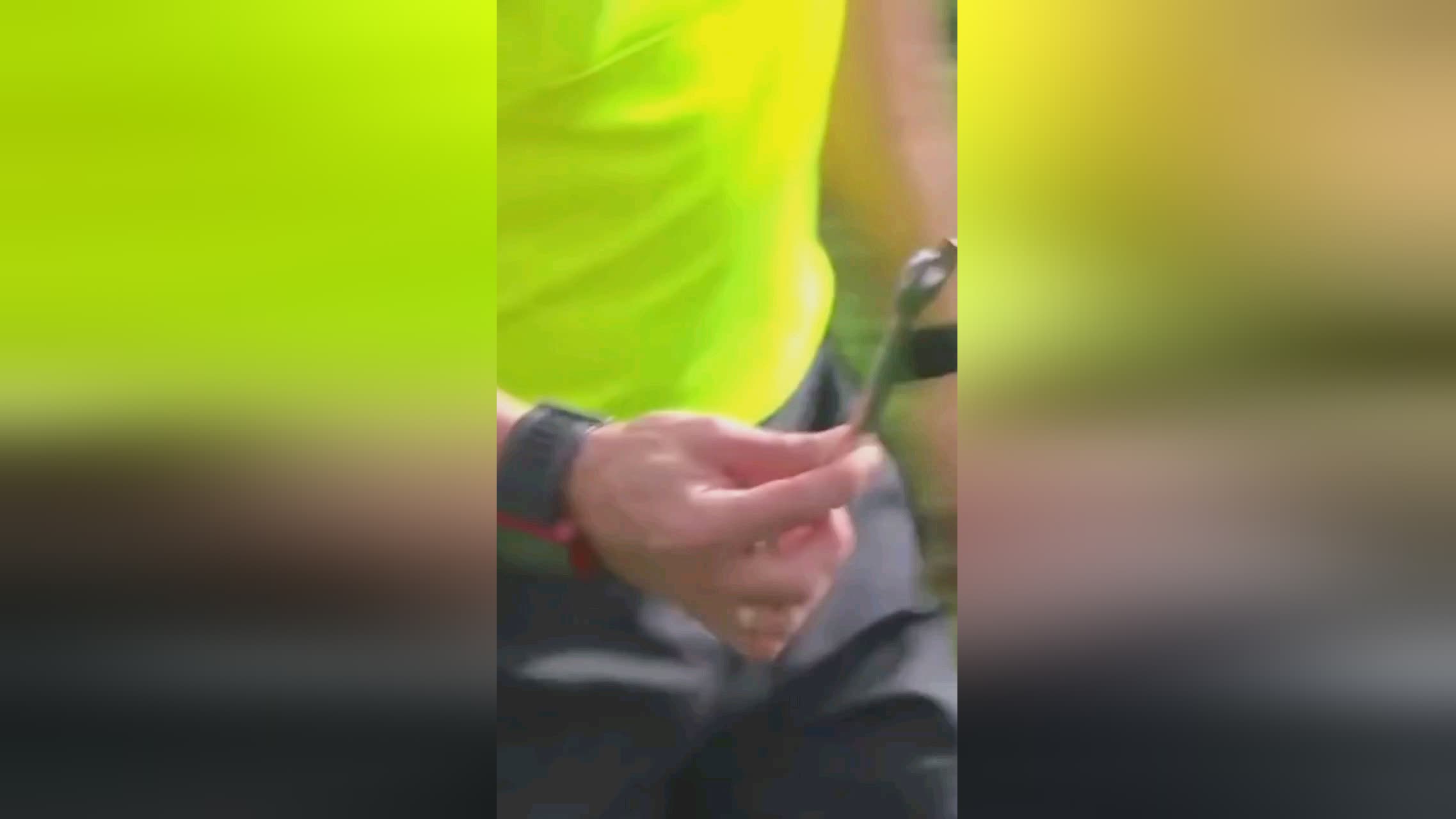 的英超冠军